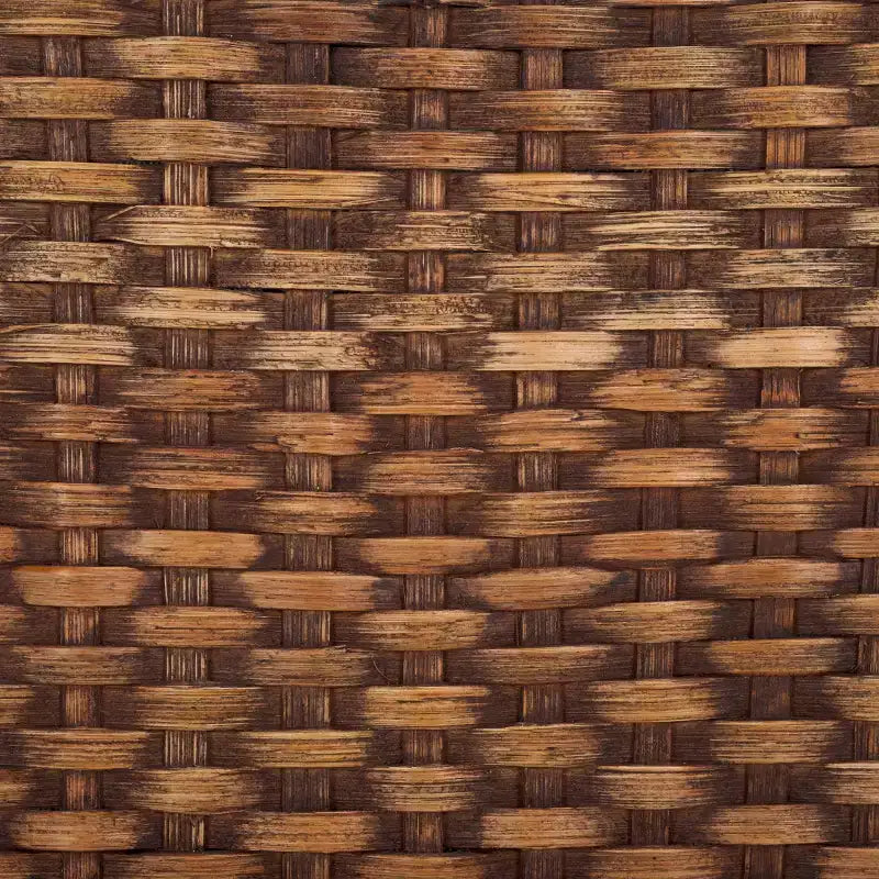 Armless Side Chair Set of 2 - Mango Wood & Rattan