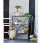 Golden Wing Decorative Wall Mirror